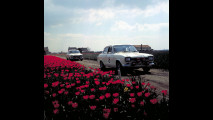 Ford Escort: 33 anni di storia