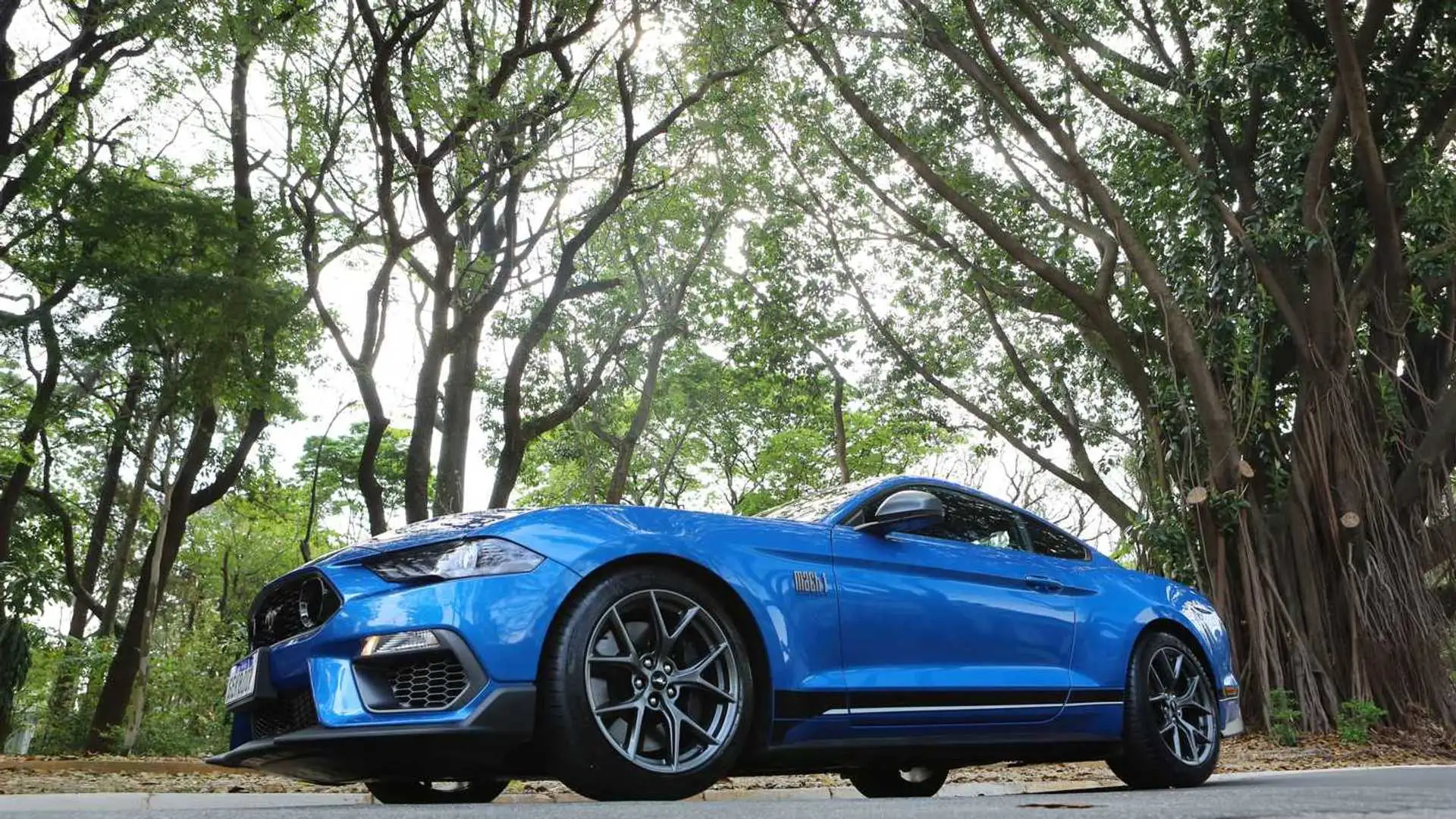 TEKNO NO.833 FORD MUSTANG （メタリックブルー） dianteira-do-ford-mustang-mach