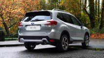 2022 Subaru Forester Rear View