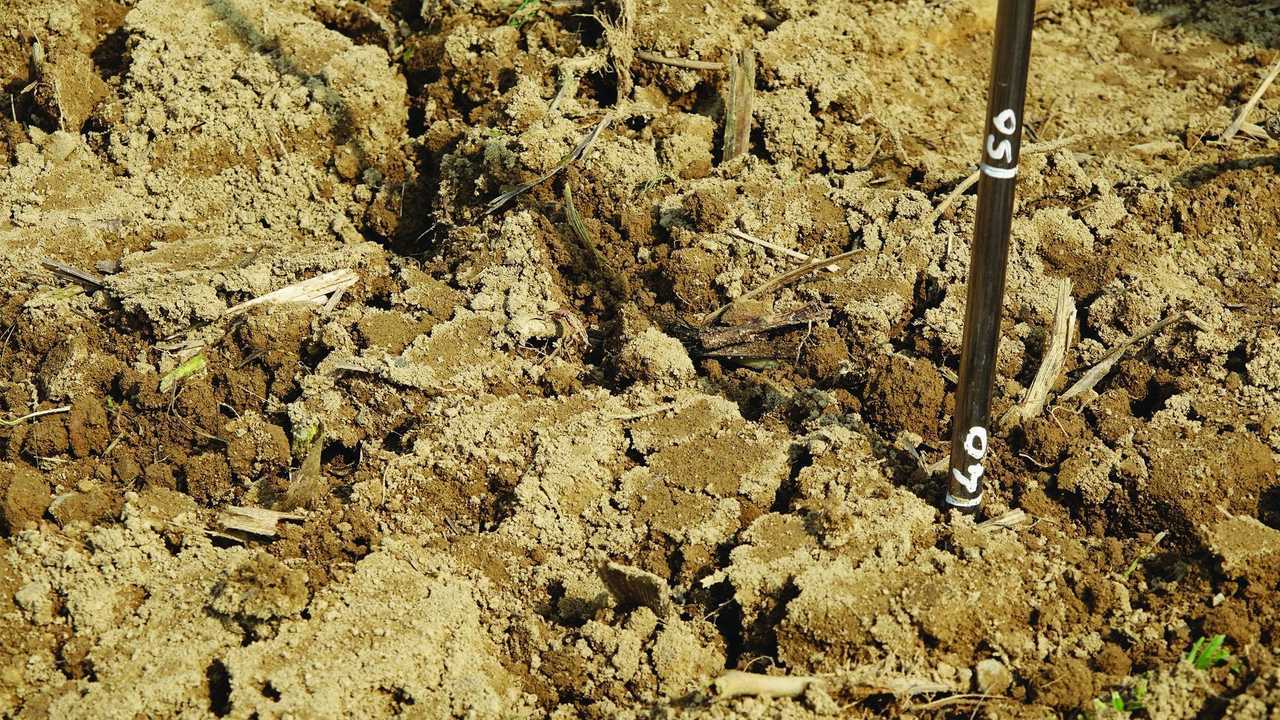 Gramegna vangatrice con erpice rotante