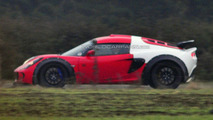 Mystery Lotus Mule