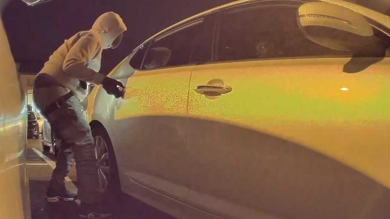 Glass-Breaking Butts Love To Show Up In Tesla Sentry Mode Videos