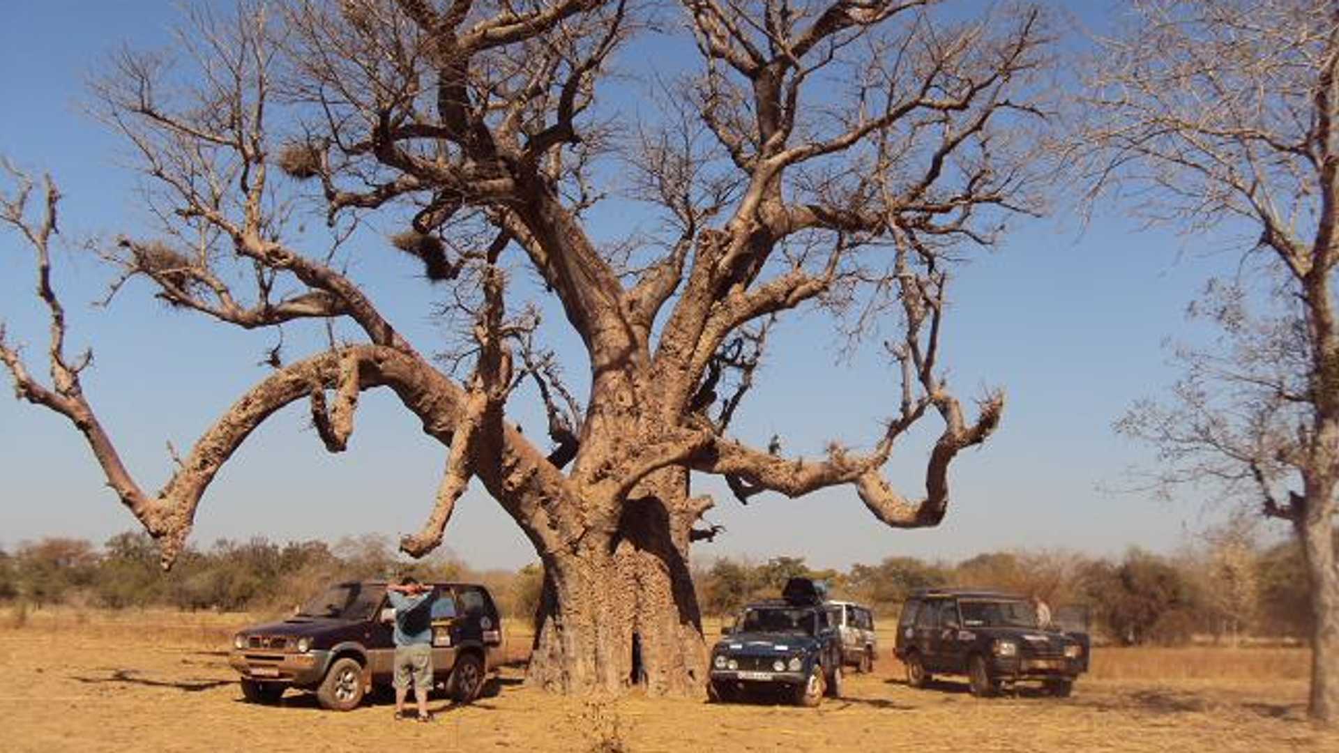 https://cdn.motor1.com/images/mgl/BMmvA/s6/lada-niva-africa-expedition.jpg