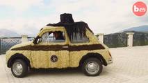 Fiat 500 peludo