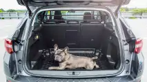 Opel Grandland X: Neues Zubehör