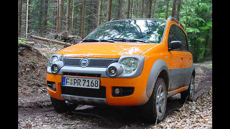 Fiat Panda 4x4 Cross: Nobel ausgerüsteter kleiner Kraxelbär