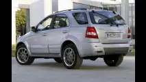 Sorento im Sportdress
