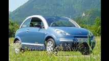 Enten-Enkel zum Sparen
