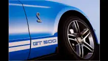 Mehr Muskeln für Mustang