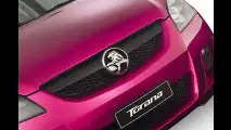 Holden Torana TT36