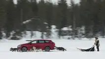 2017 SEAT Leon Cupra ST races sled pulled by huskies