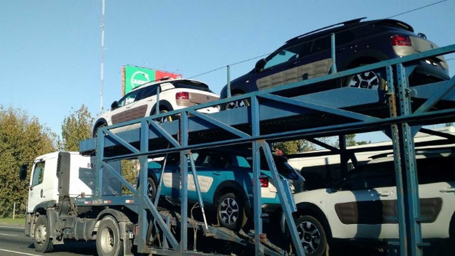 C4 Cactus