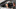 BMW Z5 Spy Pics