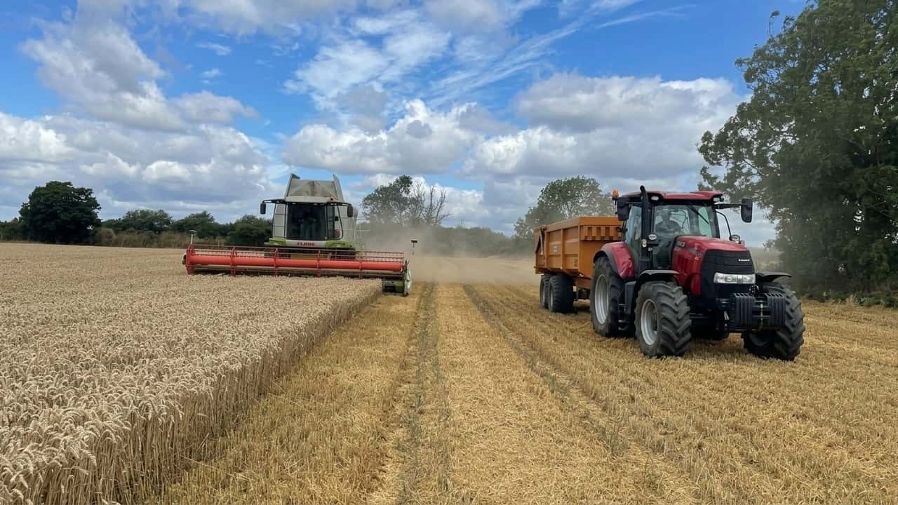 crollo-prezzi-ue-5-8-margini-agricoli-in-trappola