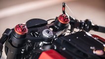 Black Swan: 2014 Avinton - Fork