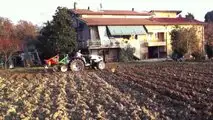 presemina8
