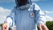 Bentley Honey Harvest