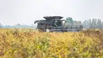 Fendt IDEAL 8T: perchè comprarla