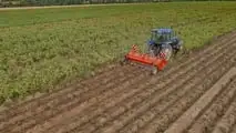 Kuhn: nuova trinciatrice BFP 320 per patate