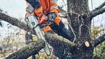 Husqvarna T542iXP E 542iXP: motoseghe a batteria con frizione