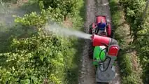 Attrezzature da vigneto e frutteto TOP per il 2024