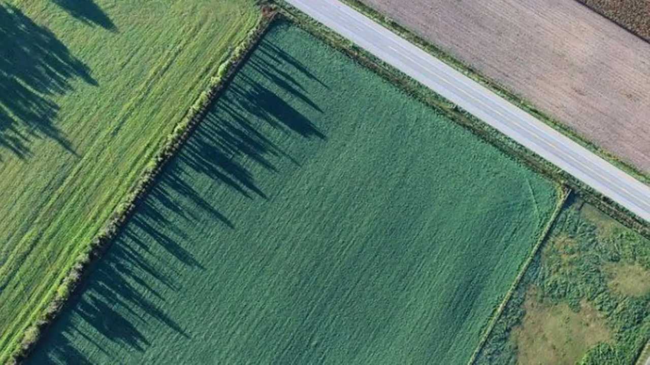 Confini terreni agricoli: le diatribe legali