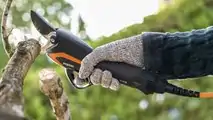 ellenc C35 e C45: le forbici per la potatura 2022