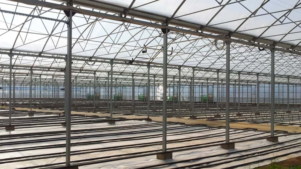 Serre agricole: arriva la semplificazione edilizia libera
