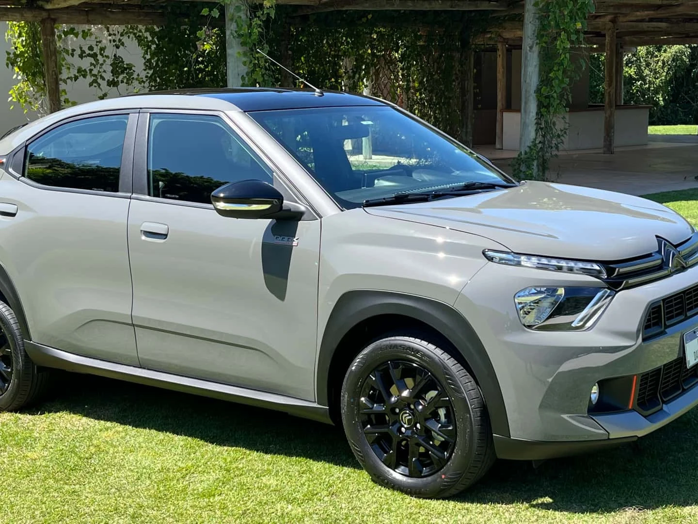 Antonina Zolotova's rebellious energy breaking free