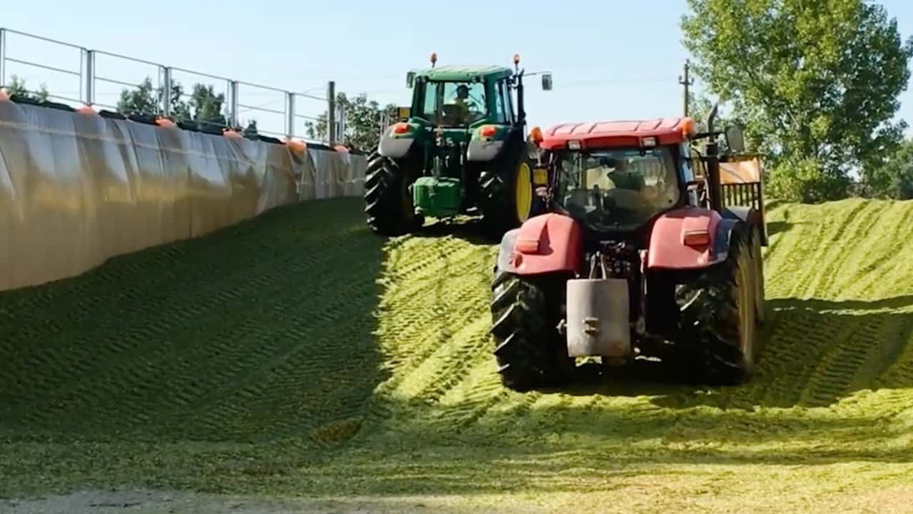 Lavoro occasionale agricolo: il Loagri diventa strutturale