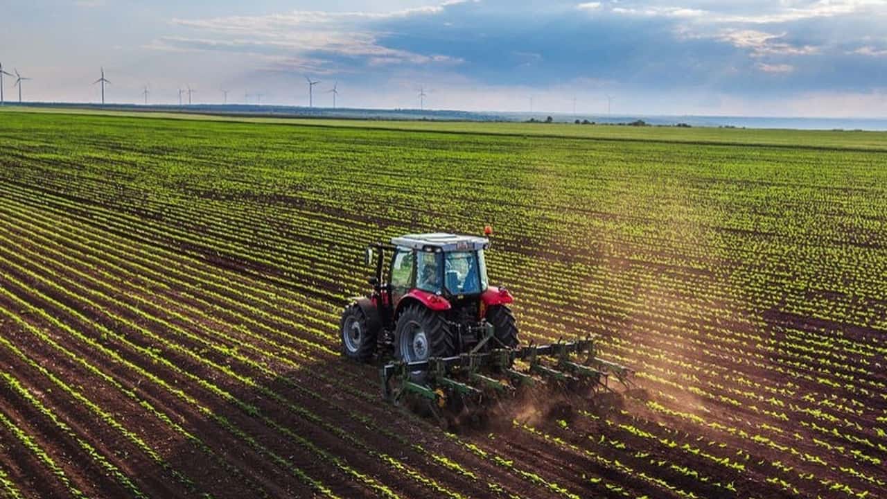 Bonus Sud, ok anche alle società agricole senza impresa