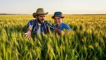 Quando un'azienda agricola passa agli eredi, l'esonero dall'imposta di successione spetta a chi prosegue l'attività: ecco come funziona e i casi dubbi.