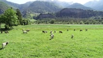 PGRA 2026: come cambia l’assicurazione per le aziende agricole