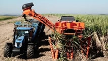 Jacto Hover 500: raccolta canna più efficiente e sostenibile