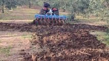 Come cambia davvero il fisco agricolo con il Dlgs 192/2024