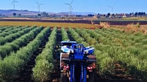 Incentivi per aziende agricole che assumono giovani svantaggiati. Esonero contributivo 100% per 24 mesi, potenziato nelle regioni del Sud Italia