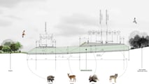 Secciones y detalles del paso inferior de fauna