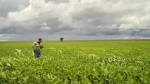 Pacchetto Omnibus e biocontrollo: cosa cambia davvero in campo?