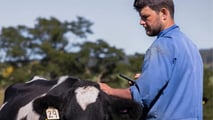 GPS, AI e pannello solare per gestire la mandria da smartphone. La startup Halter raccoglie 315 milioni e conquista Peter Thiel
