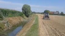 Come preparare il terreno alla soia di secondo raccolto?