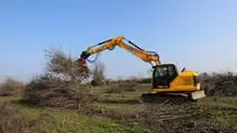 Escavatori JCB: abbattono un frutteto