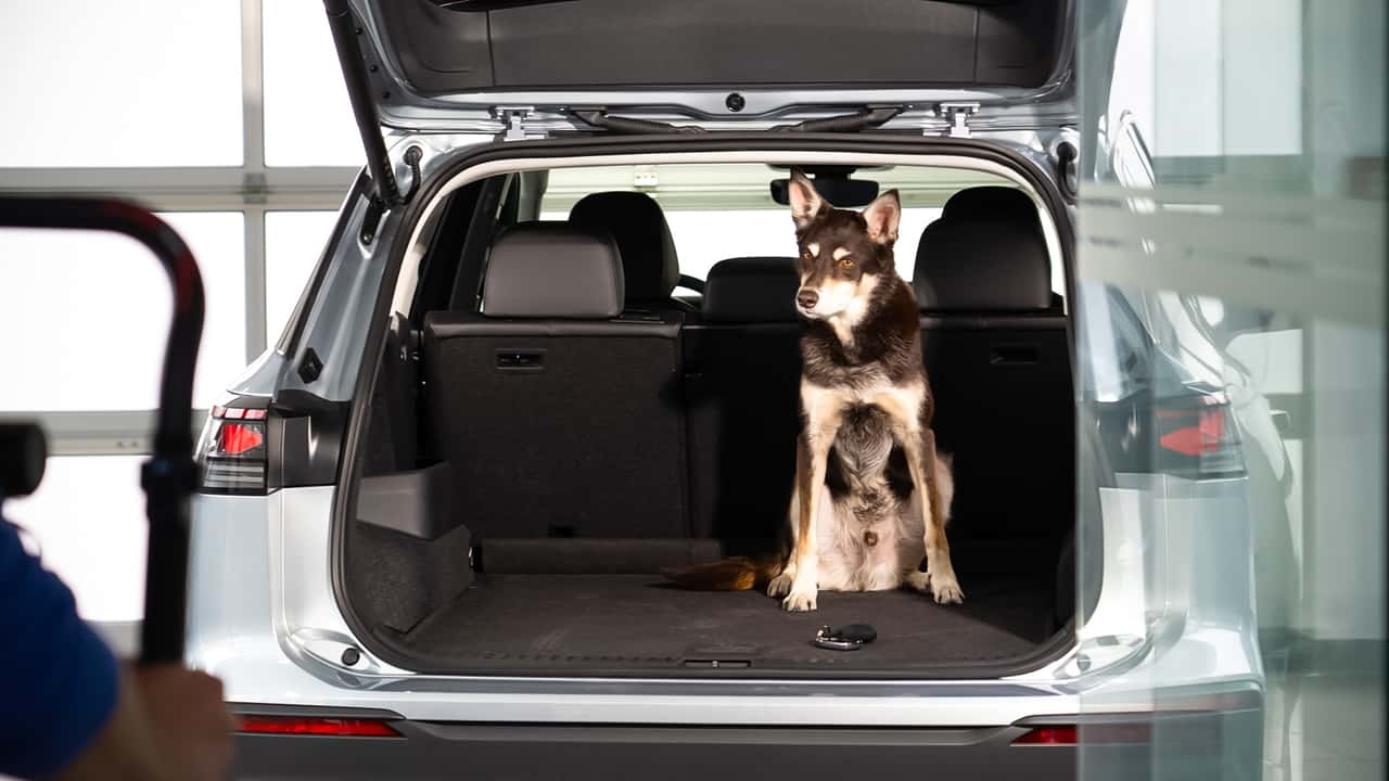  Tierische Besucher in der VW Tayron (2025) Produktion 