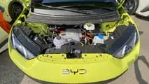BYD Dolphin Surf live photos