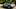 Comparativo Tiguan x CR-V x 3008 x Equinox