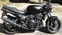 Online Find Panjo Edition - 1995 Triumph Speed Triple