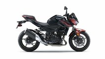 2019 Kawasaki Z400 ABS