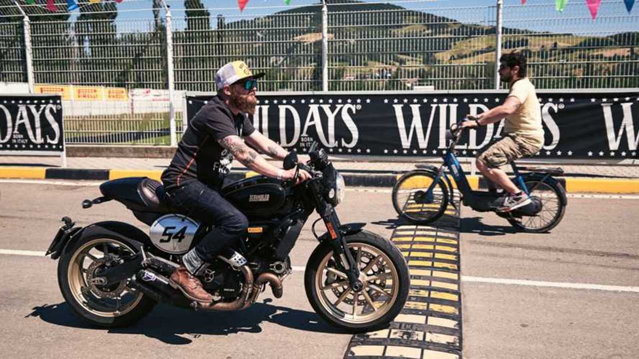 Wildays-2019