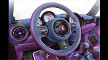 Vilner-Mini ist pure Extravaganz