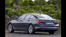 Netter Autonomer
