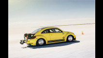 Super-Käfer auf Speed